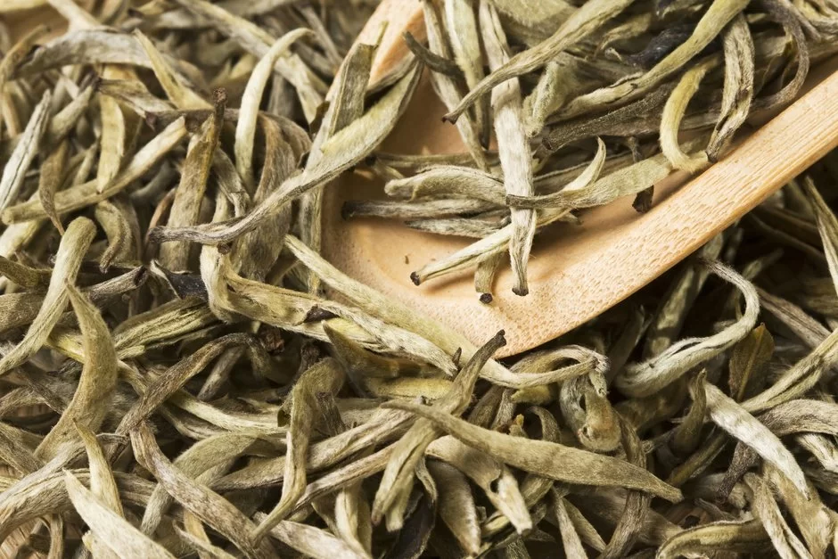 白茶——纯净与精致奢华的灵丹妙药